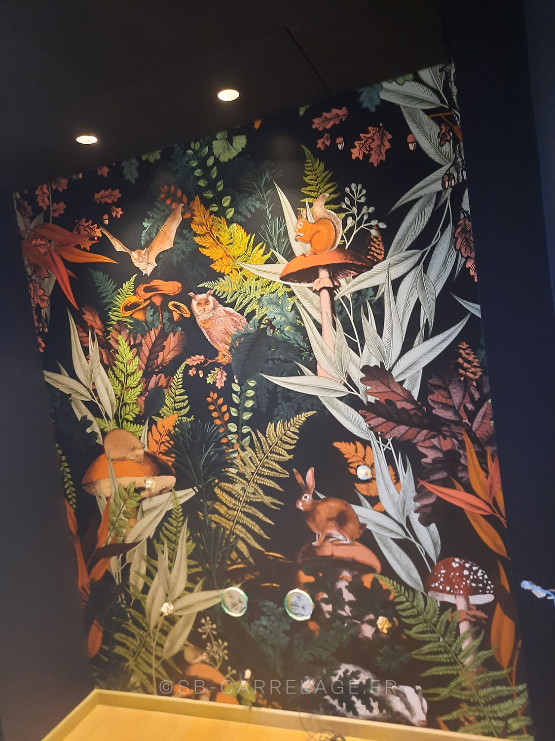SB CARRELAGE intérieur sol mur mural